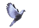 Bird Left